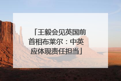 王毅会见英国前首相布莱尔：中英应体现责任担当