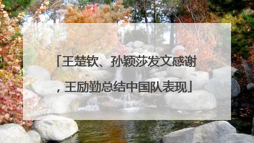 王楚钦、孙颖莎发文感谢，王励勤总结中国队表现