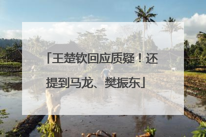王楚钦回应质疑！还提到马龙、樊振东