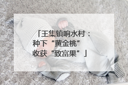 王集镇响水村：种下“黄金桃” 收获“致富果”