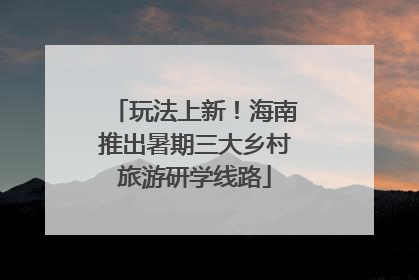 玩法上新！海南推出暑期三大乡村旅游研学线路