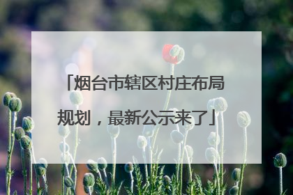 烟台市辖区村庄布局规划，最新公示来了