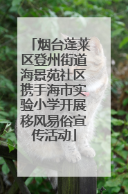 烟台蓬莱区登州街道海景苑社区携手海市实验小学开展移风易俗宣传活动