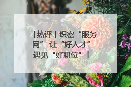 热评丨织密“服务网” 让“好人才”遇见“好职位”