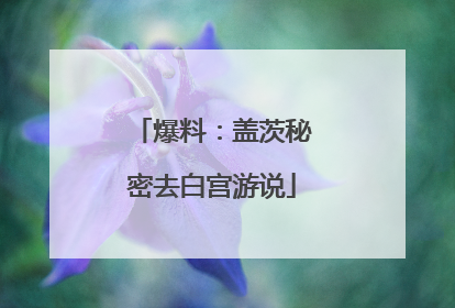 爆料：盖茨秘密去白宫游说
