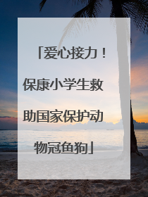 爱心接力！保康小学生救助国家保护动物冠鱼狗