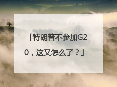 特朗普不参加G20，这又怎么了？