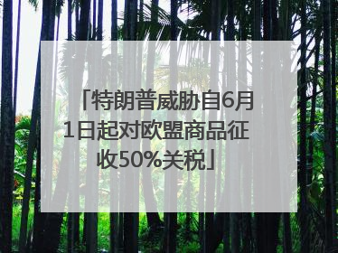 特朗普威胁自6月1日起对欧盟商品征收50%关税