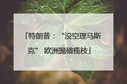 特朗普：“没空理马斯克” 欧洲抛橄榄枝