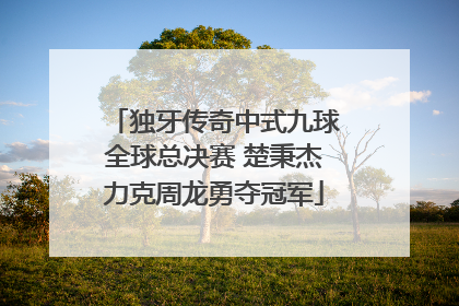 独牙传奇中式九球全球总决赛 楚秉杰力克周龙勇夺冠军