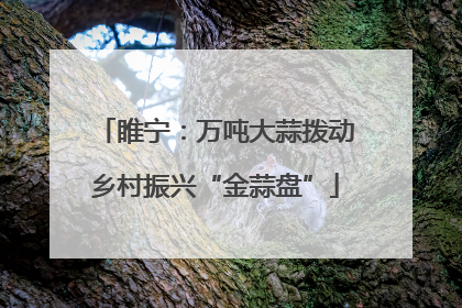 睢宁：万吨大蒜拨动乡村振兴“金蒜盘”