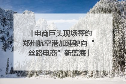 电商巨头现场签约 郑州航空港加速驶向“丝路电商”新蓝海