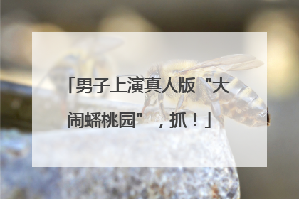 男子上演真人版“大闹蟠桃园”，抓！