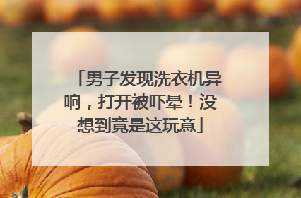 男子发现洗衣机异响，打开被吓晕！没想到竟是这玩意