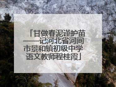 甘做春泥谨护苗——记河北省河间市景和镇初级中学语文教师程桂霞