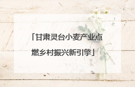 甘肃灵台小麦产业点燃乡村振兴新引擎