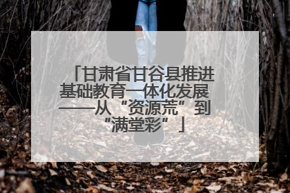 甘肃省甘谷县推进基础教育一体化发展——从“资源荒”到“满堂彩”
