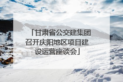 甘肃省公交建集团召开庆阳地区项目建设运营座谈会