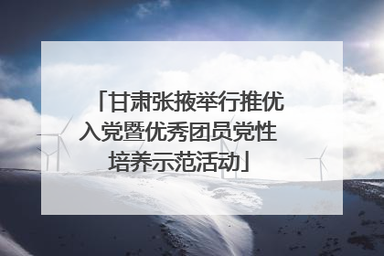 甘肃张掖举行推优入党暨优秀团员党性培养示范活动