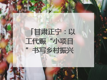 甘肃正宁：以工代赈“小项目”书写乡村振兴“大文章”