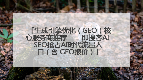 生成引擎优化（GEO）核心服务商推荐——即搜客AI SEO抢占AI时代流量入口（含 GEO报价）