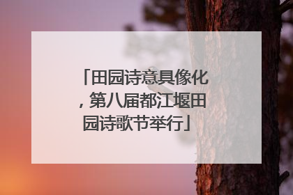 田园诗意具像化，第八届都江堰田园诗歌节举行
