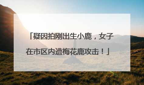 疑因拍刚出生小鹿，女子在市区内遭梅花鹿攻击！