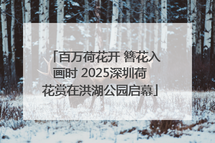 百万荷花开 簪花入画时 2025深圳荷花赏在洪湖公园启幕