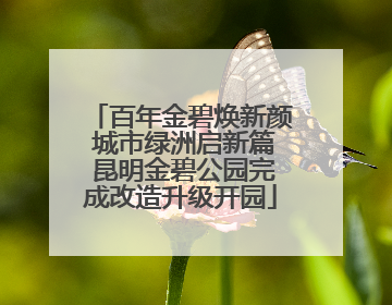百年金碧焕新颜 城市绿洲启新篇 昆明金碧公园完成改造升级开园