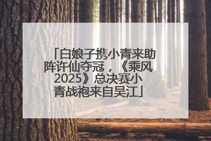 白娘子携小青来助阵许仙夺冠，《乘风2025》总决赛小青战袍来自吴江