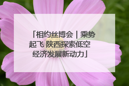 相约丝博会｜乘势起飞 陕西探索低空经济发展新动力