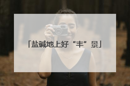 盐碱地上好“丰”景