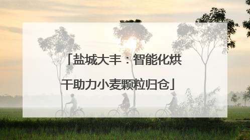 盐城大丰：智能化烘干助力小麦颗粒归仓