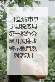 盐城市阜宁县税务局第一税务分局开展廉政警示教育系列活动