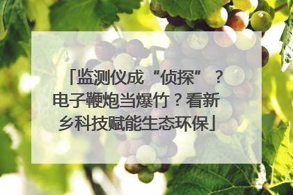 监测仪成“侦探”？电子鞭炮当爆竹？看新乡科技赋能生态环保