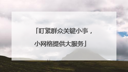 盯紧群众关键小事，小网格提供大服务