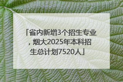 省内新增3个招生专业，烟大2025年本科招生总计划7520人