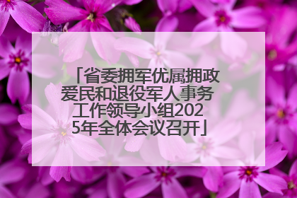 省委拥军优属拥政爱民和退役军人事务工作领导小组2025年全体会议召开