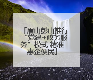眉山彭山推行“党建+政务服务”模式 精准惠企便民