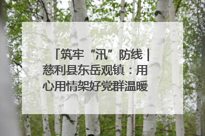 筑牢“汛”防线｜慈利县东岳观镇：用心用情架好党群温暖悠长的“连心桥”