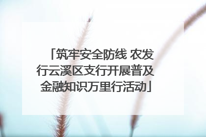 筑牢安全防线 农发行云溪区支行开展普及金融知识万里行活动