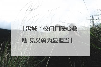 禹城：校门口暖心救助 见义勇为显担当