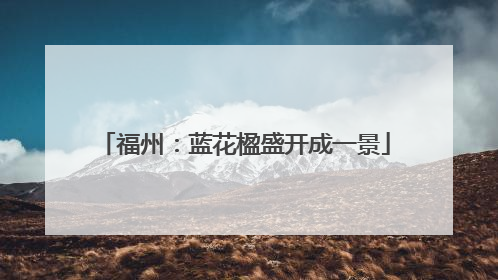 福州：蓝花楹盛开成一景