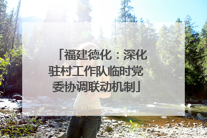 福建德化：深化驻村工作队临时党委协调联动机制