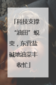 科技支撑“油田”蜕变，东营盐碱地油菜丰收忙
