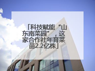 科技赋能“山东南菜园”，这家合作社年育菜苗2.2亿株