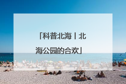 科普北海丨北海公园的合欢