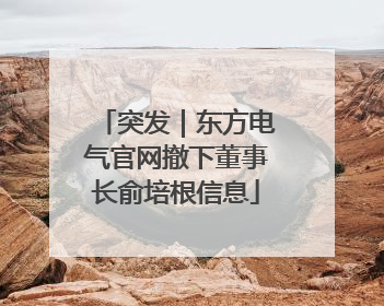 突发｜东方电气官网撤下董事长俞培根信息