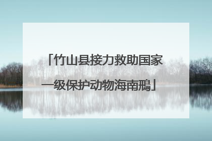 竹山县接力救助国家一级保护动物海南鳽