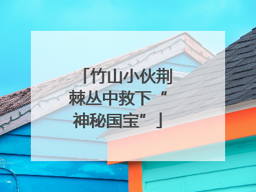 竹山小伙荆棘丛中救下“神秘国宝”